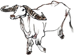 国画牛的绘画步骤